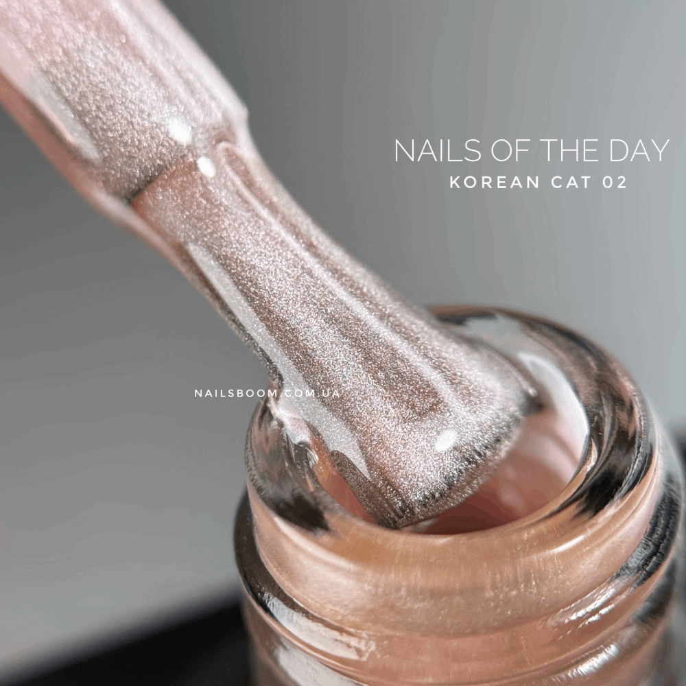 CAT EYE Gel Polish NAILS OF THE DAY Korean Cat 10ml 02