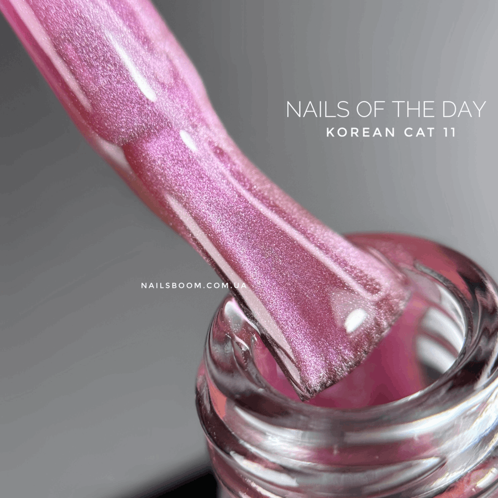 CAT EYE Gel Polish NAILS OF THE DAY Korean Cat 10ml 11