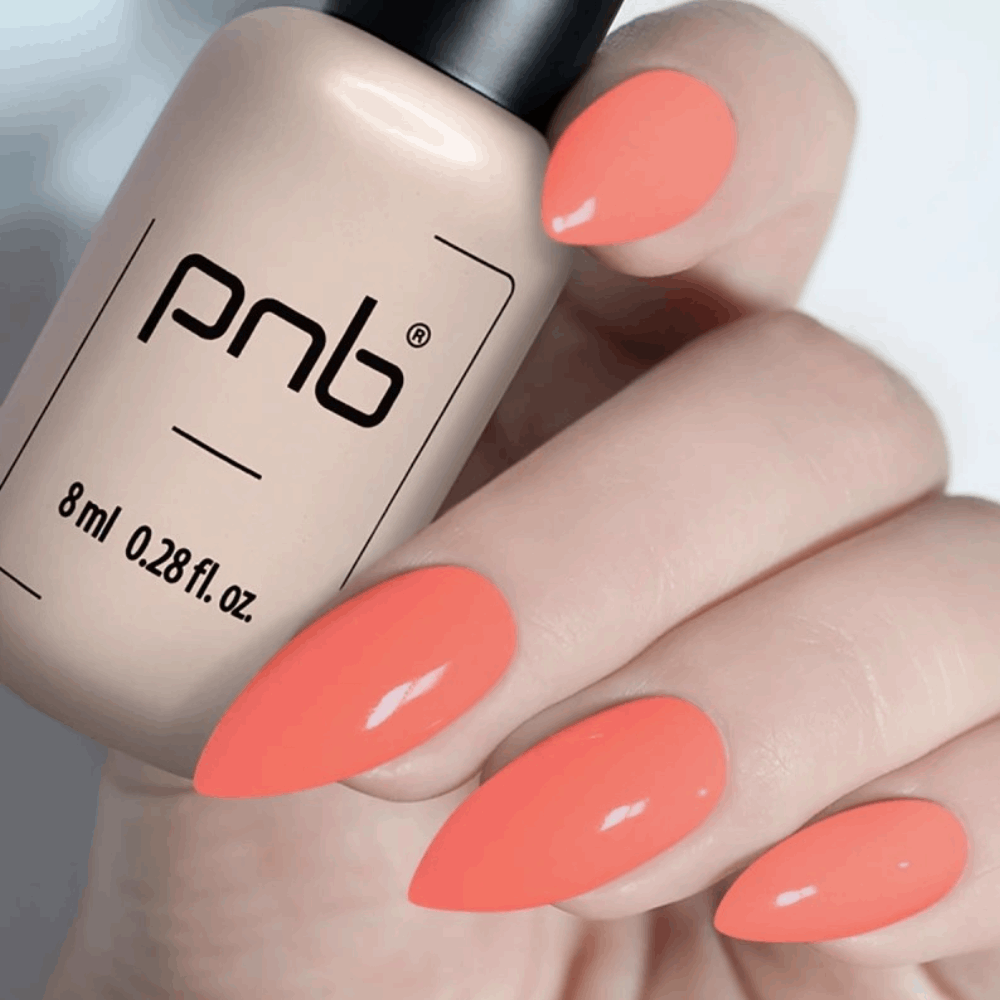 Gel Polish PNB MAIN COLLECTION 8ml 138