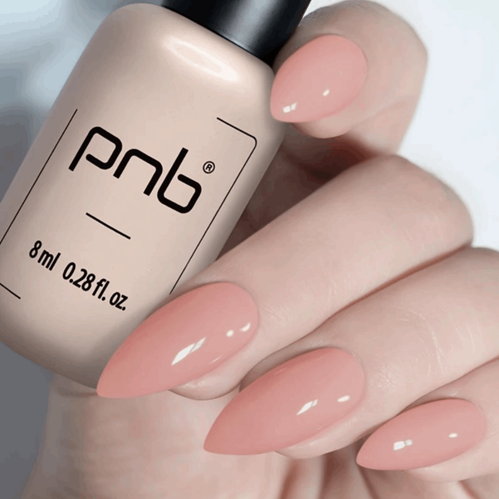 Gel Polish PNB MAIN COLLECTION 8ml 169