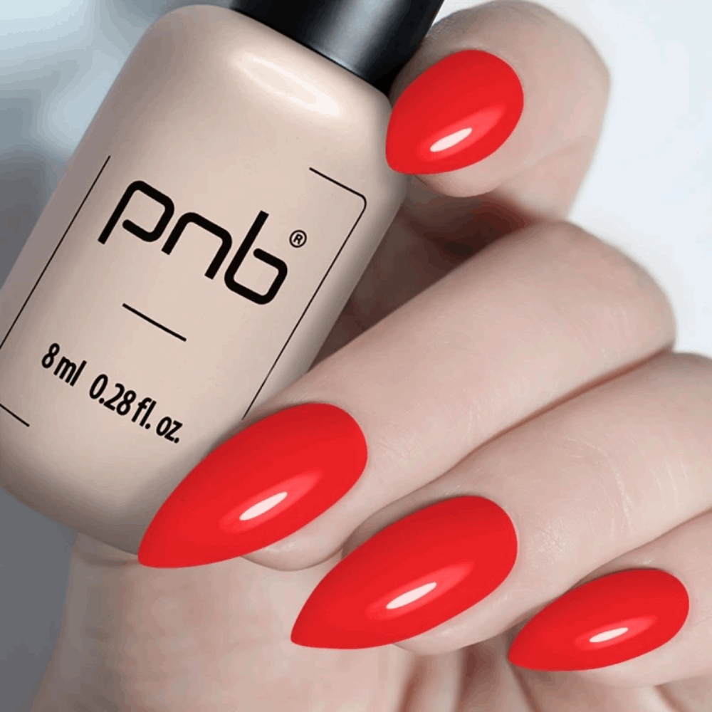 Gel Polish PNB MAIN COLLECTION 8ml 206
