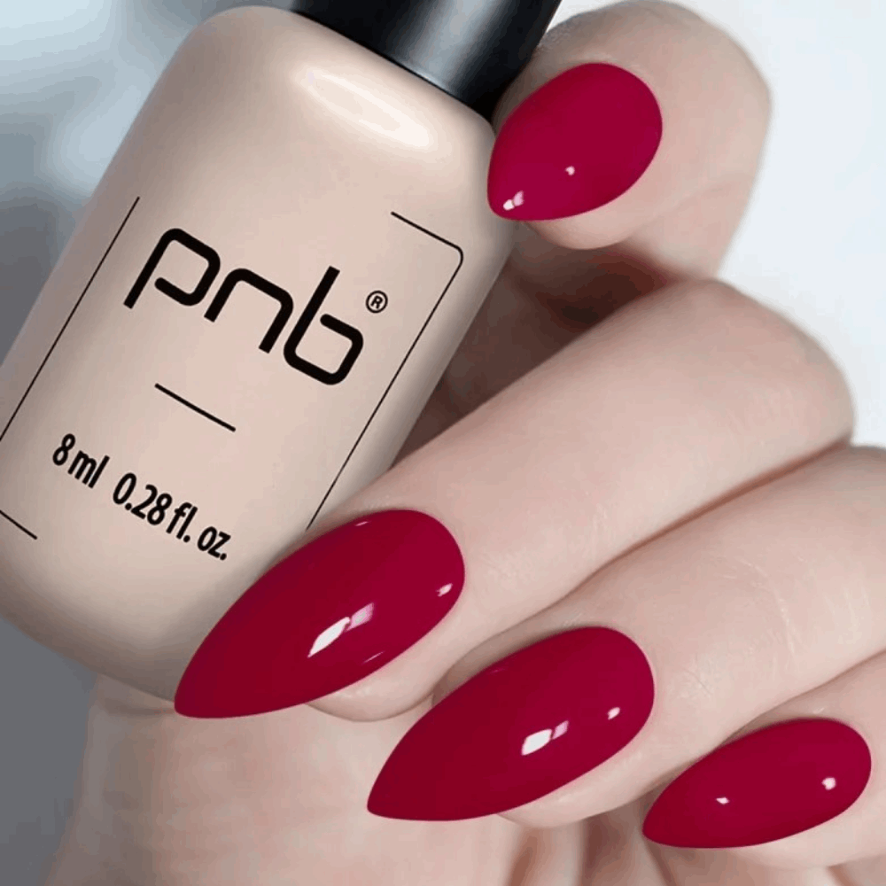 Gel Polish PNB MAIN COLLECTION 8ml 209