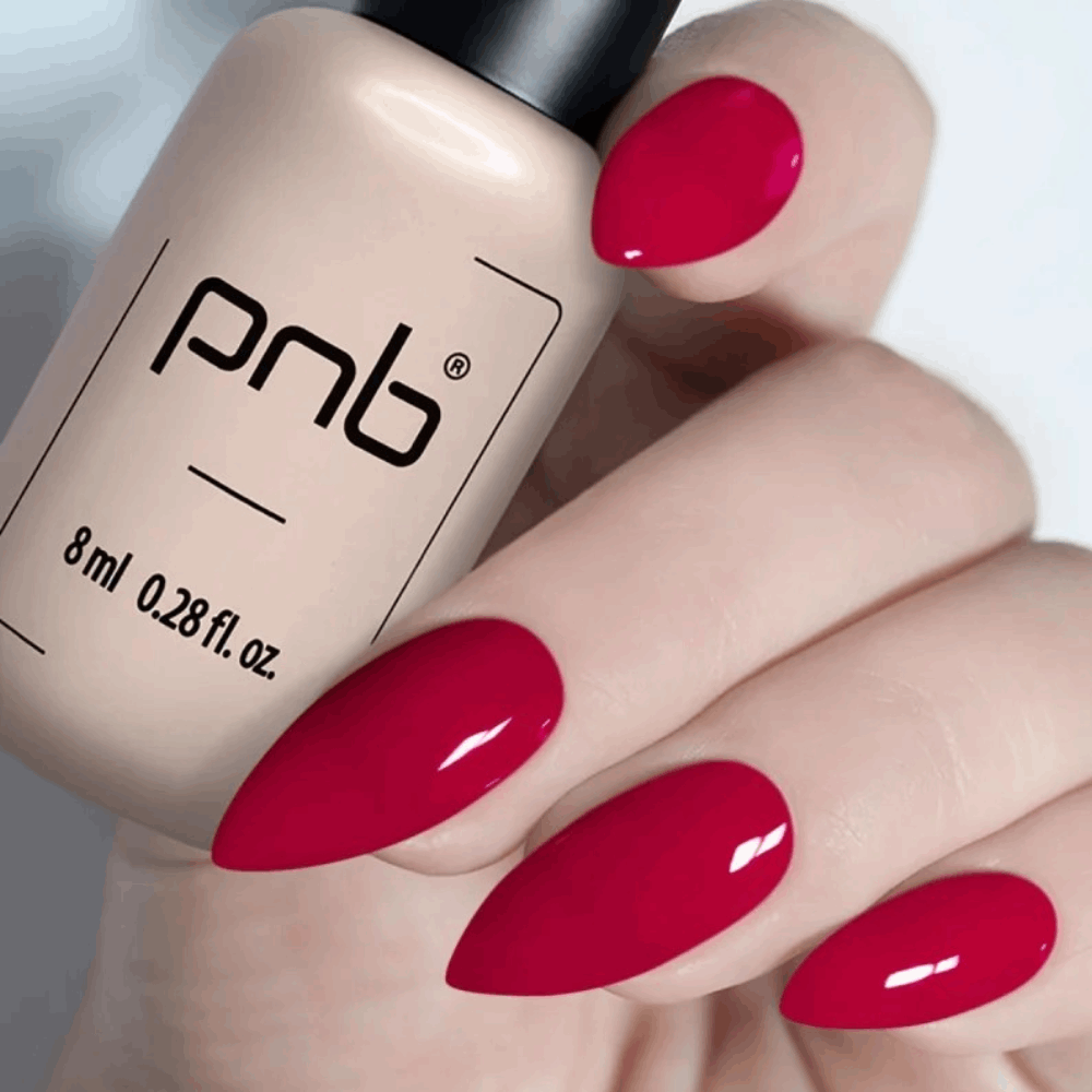 Gel Polish PNB MAIN COLLECTION 8ml 210