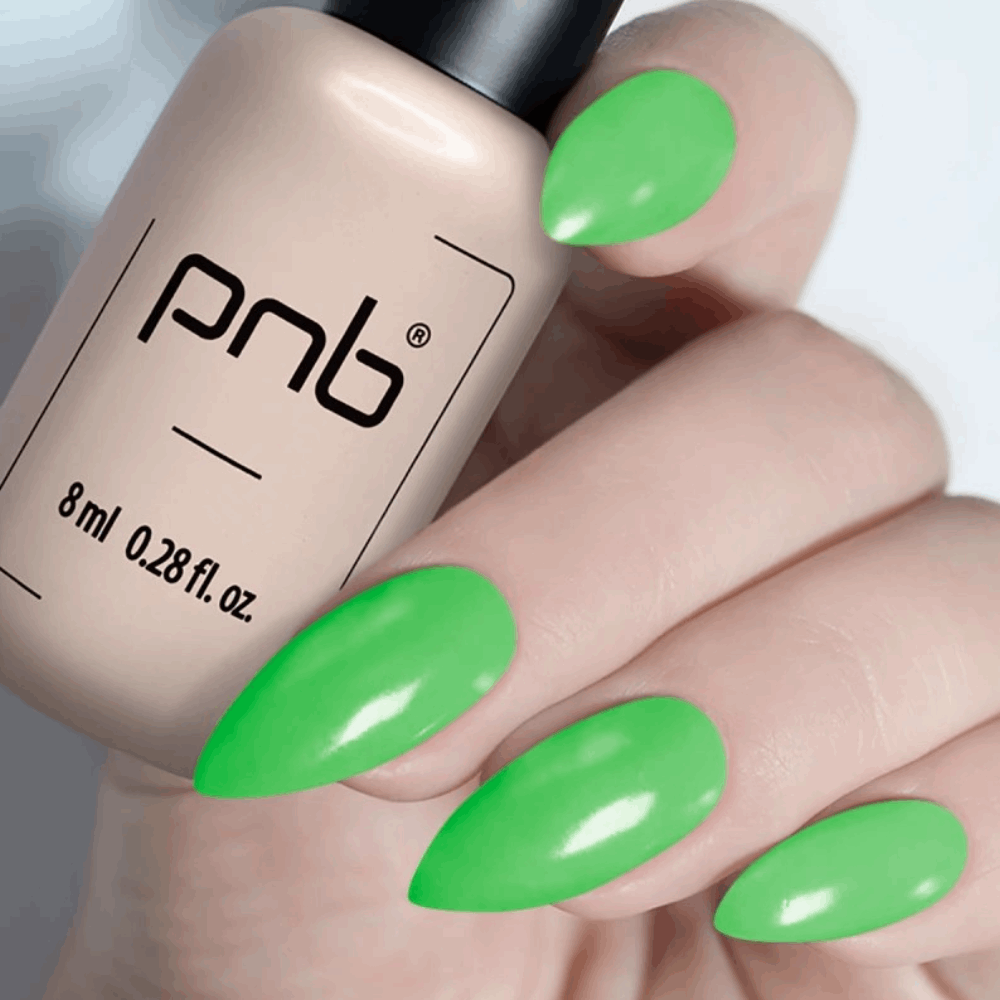 Gel Polish PNB MAIN COLLECTION 8ml 221