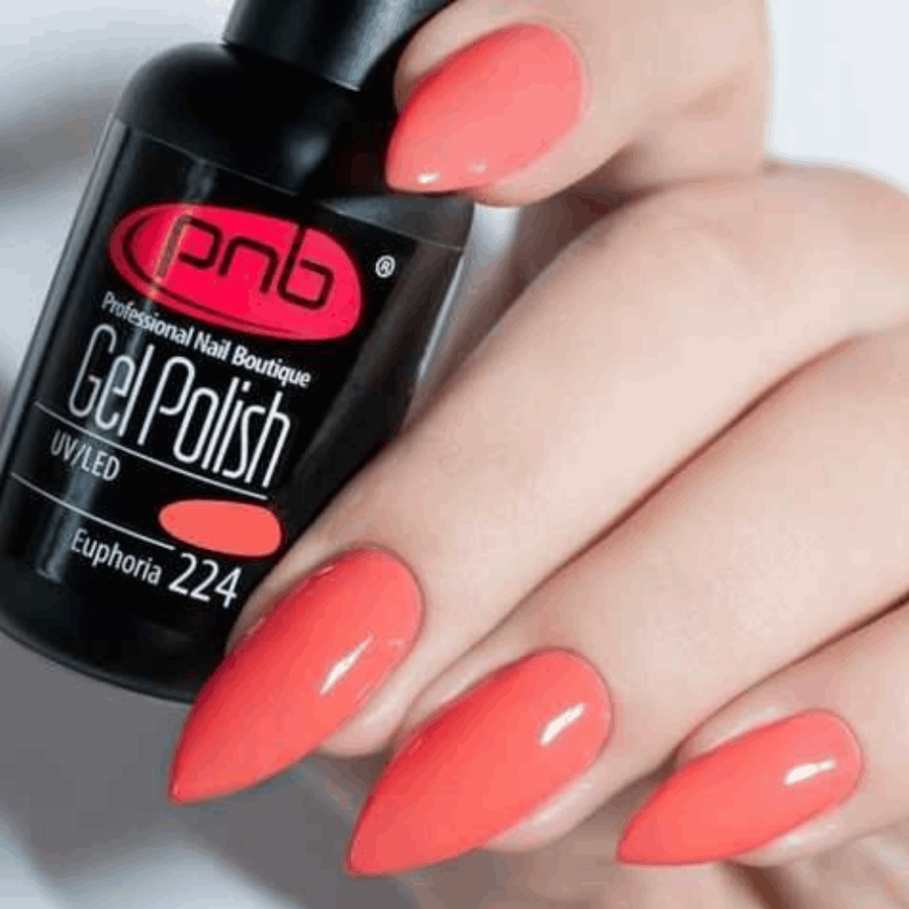 Gel Polish PNB MAIN COLLECTION 8ml 224