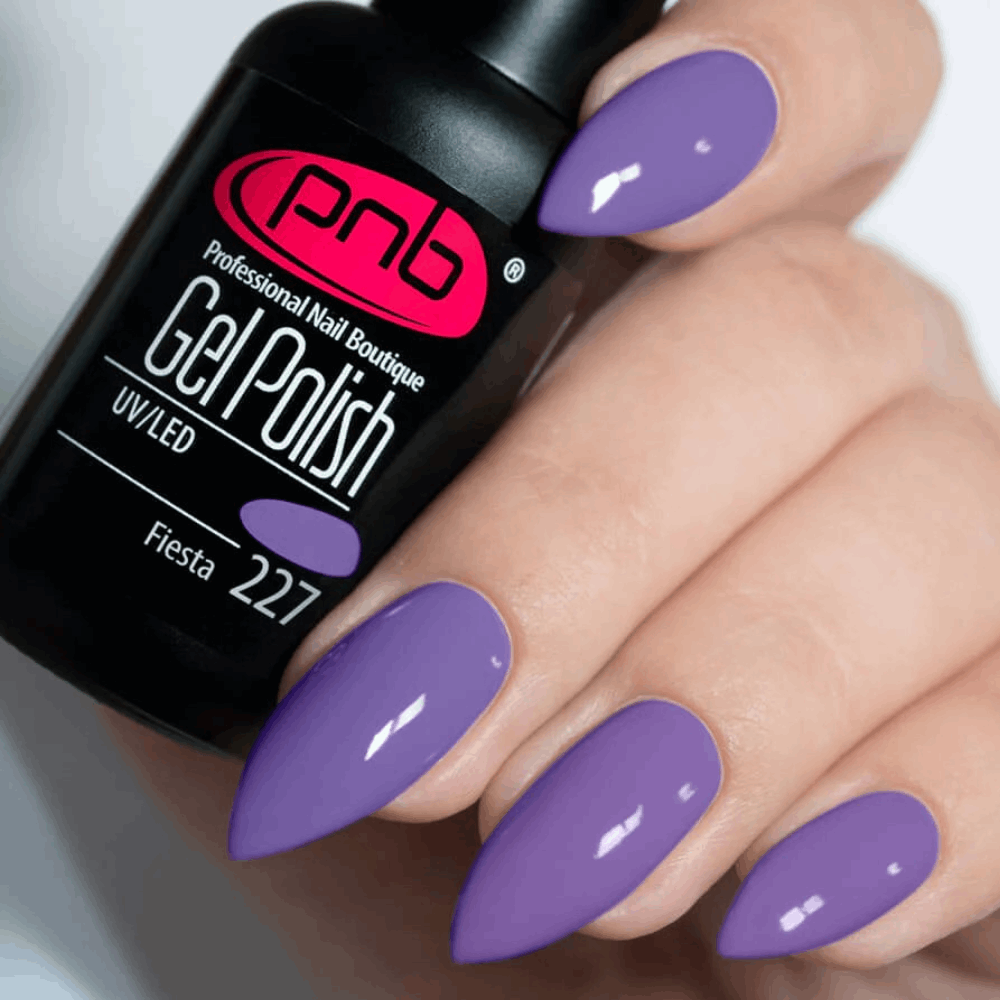 Gel Polish PNB MAIN COLLECTION 8ml 227