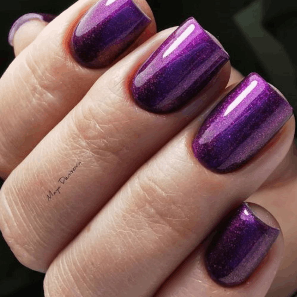 Gel Polish PNB MAIN COLLECTION 8ml 241