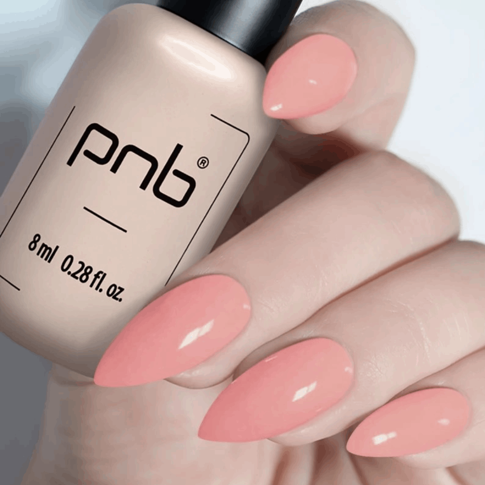 Gel Polish PNB MAIN COLLECTION 8ml 244