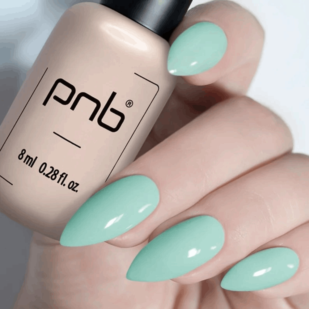 Gel Polish PNB MAIN COLLECTION 8ml 247