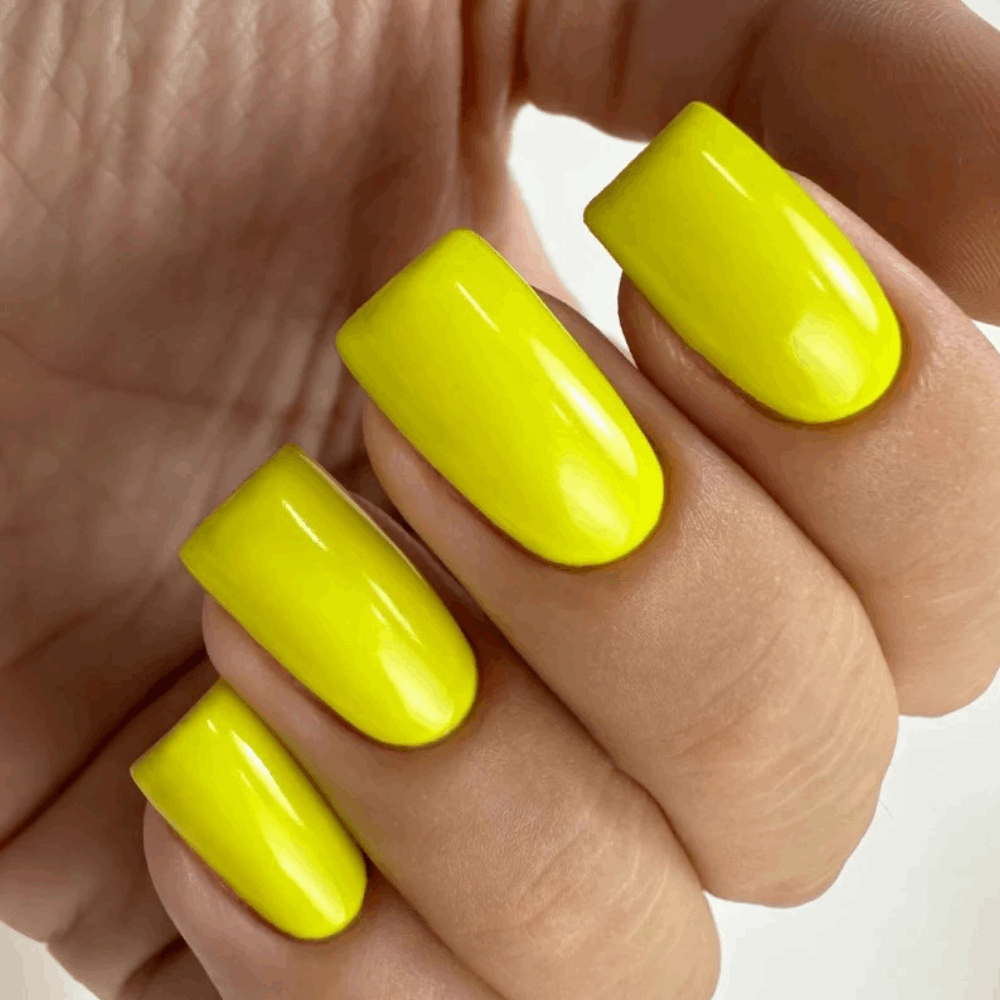 Gel Polish PNB MAIN COLLECTION 8ml 248