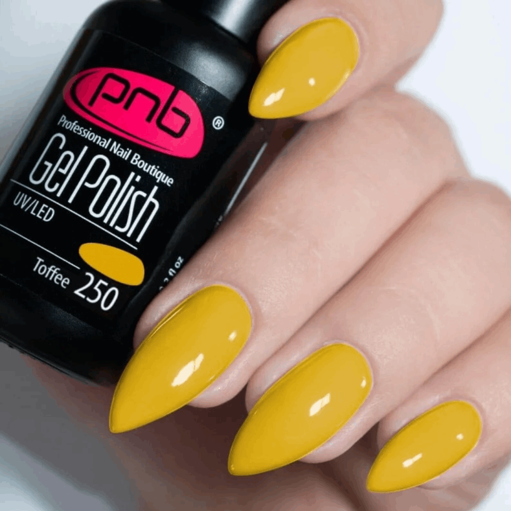 Gel Polish PNB MAIN COLLECTION 8ml 250