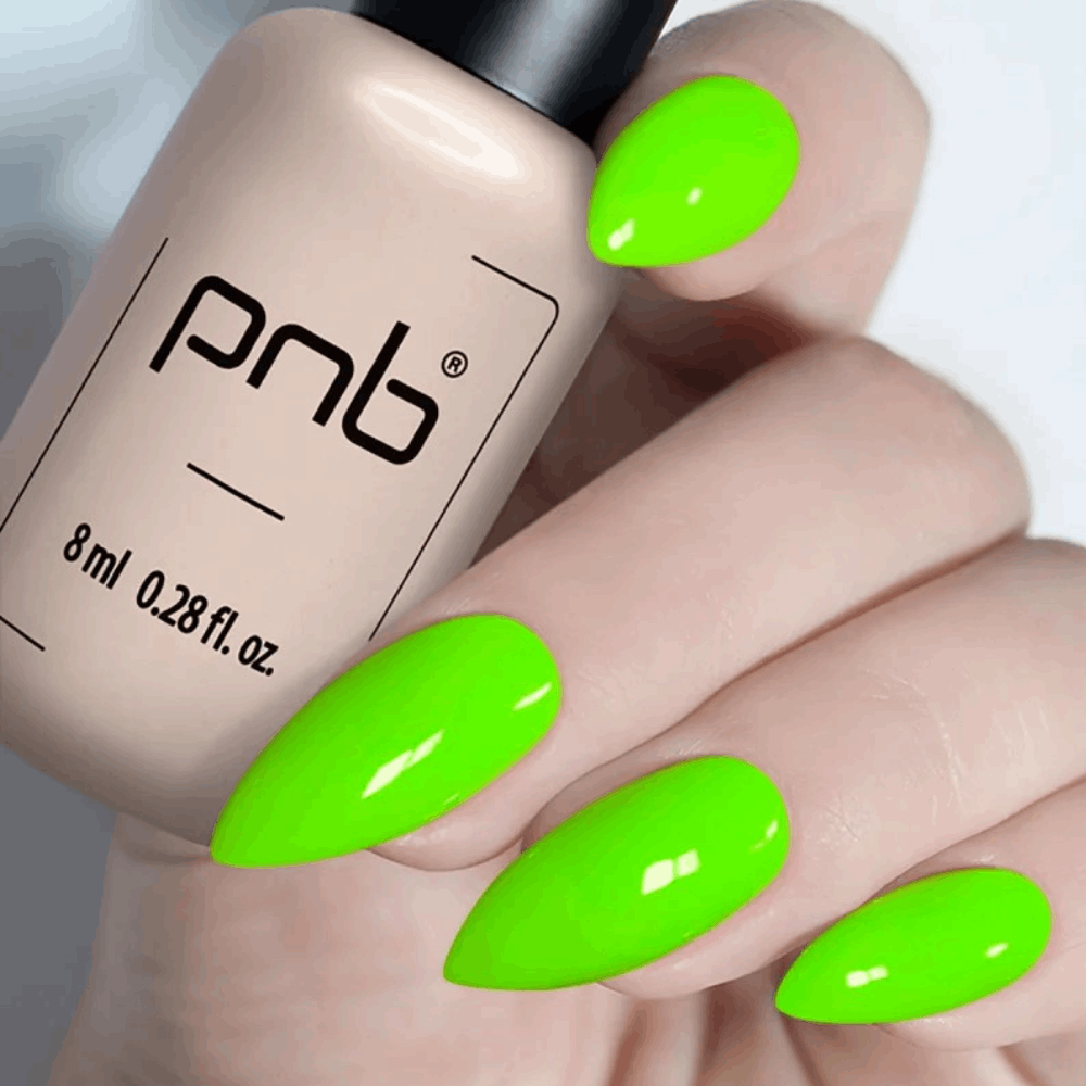 Gel Polish PNB MAIN COLLECTION 8ml 252