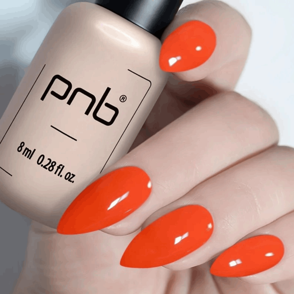 Gel Polish PNB MAIN COLLECTION 8ml 255