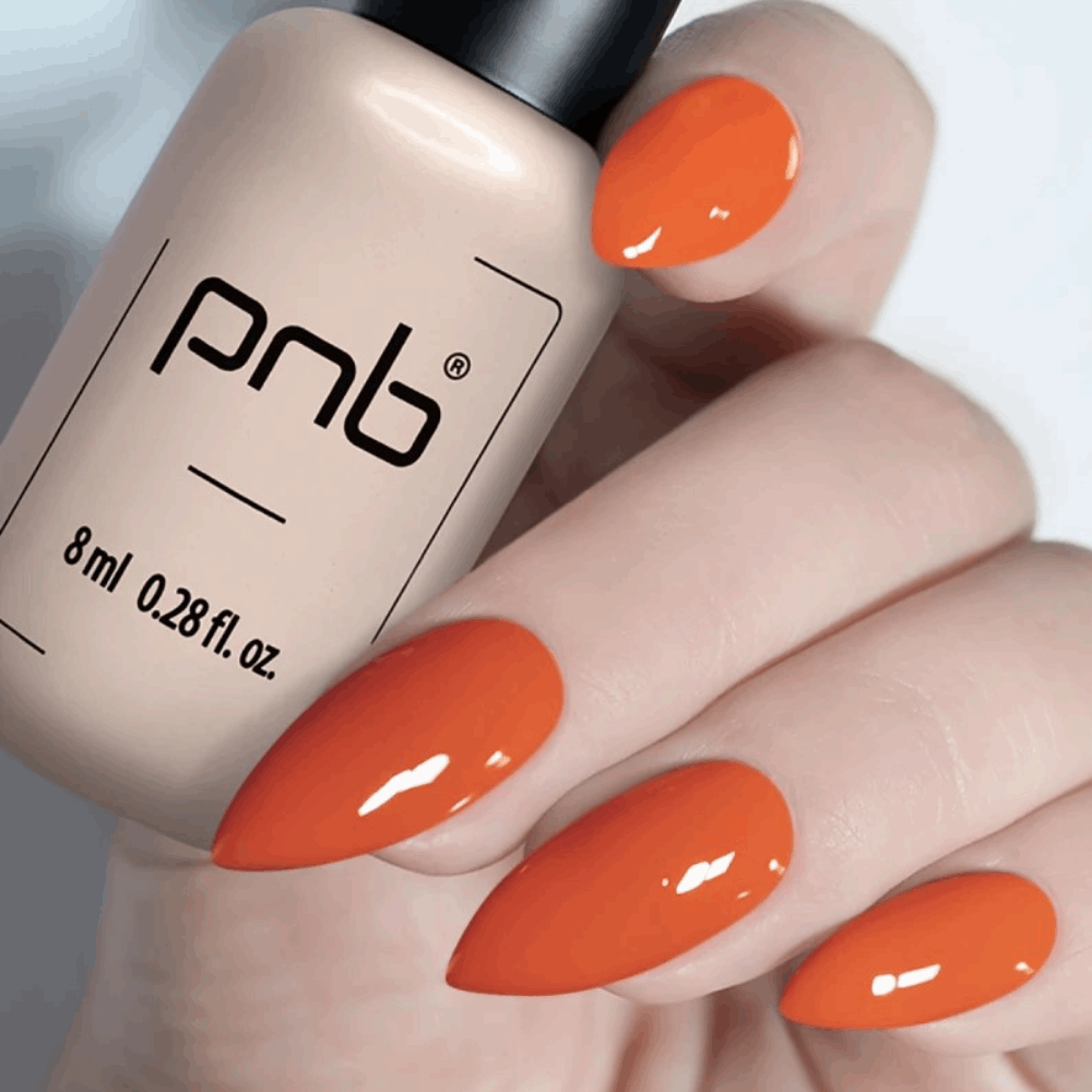 Gel Polish PNB MAIN COLLECTION 8ml 270