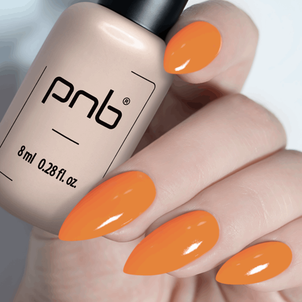 Gel Polish PNB MAIN COLLECTION 8ml 271