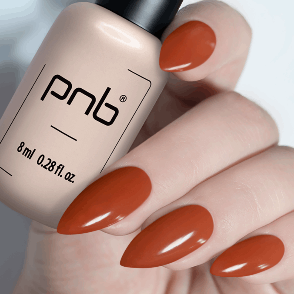 Gel Polish PNB MAIN COLLECTION 8ml 281