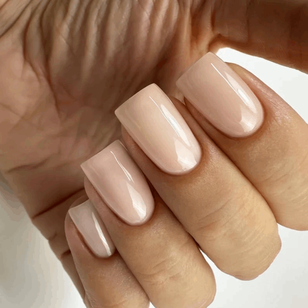 Gel Polish PNB MAIN COLLECTION 8ml 290