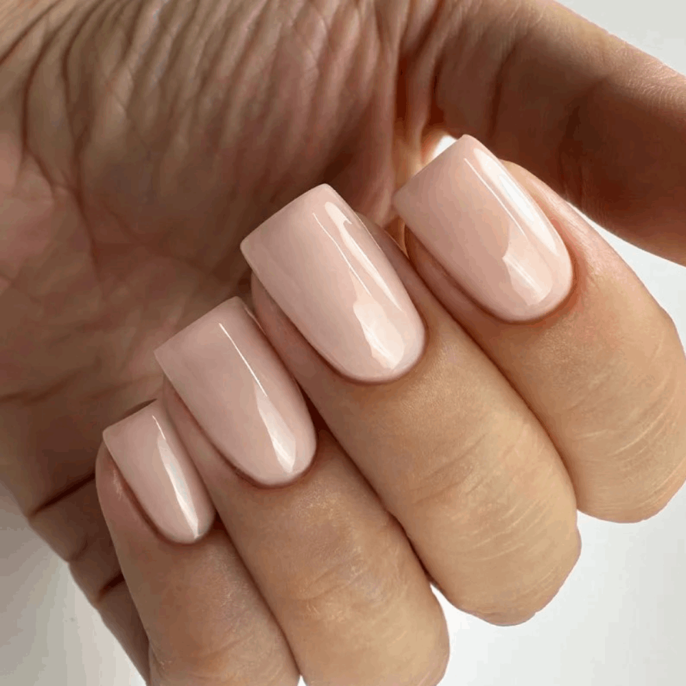 Gel Polish PNB MAIN COLLECTION 8ml 291