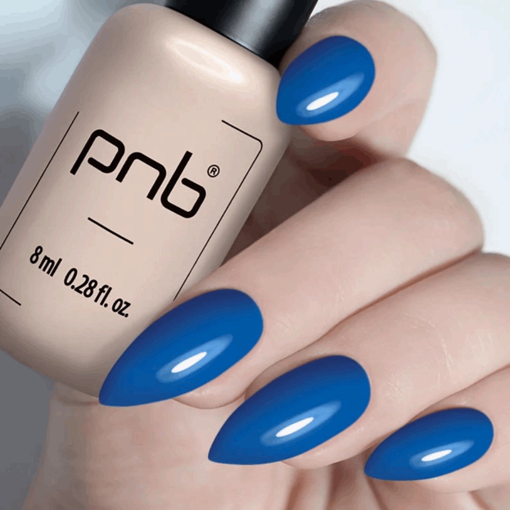 Gel Polish PNB 8ml 351