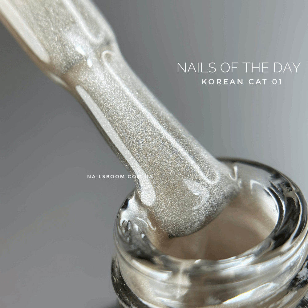 CAT EYE Gel Polish NAILS OF THE DAY Korean Cat 10ml 01