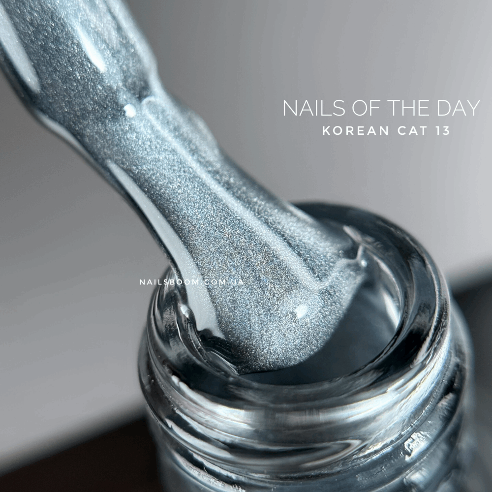 CAT EYE Gel Polish NAILS OF THE DAY Korean Cat 10ml 13