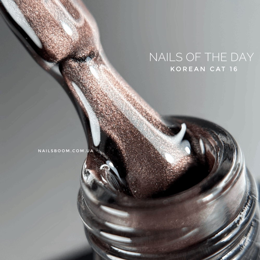 CAT EYE Gel Polish NAILS OF THE DAY Korean Cat 10ml 16