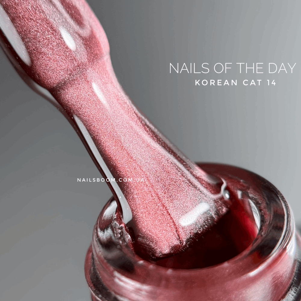 CAT EYE Gel Polish NAILS OF THE DAY Korean Cat 10ml 14