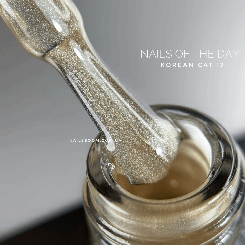 CAT EYE Gel Polish NAILS OF THE DAY Korean Cat 10ml 12