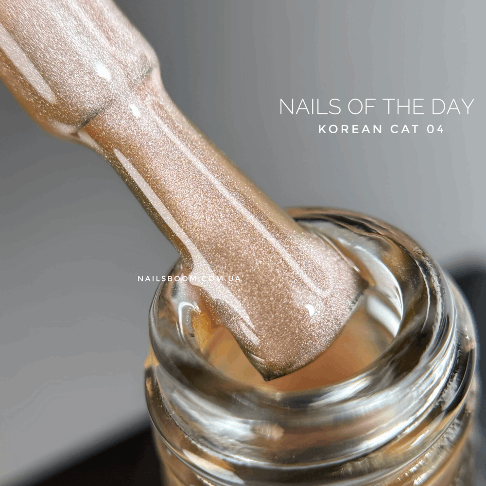 CAT EYE Gel Polish NAILS OF THE DAY Korean Cat 10ml 04