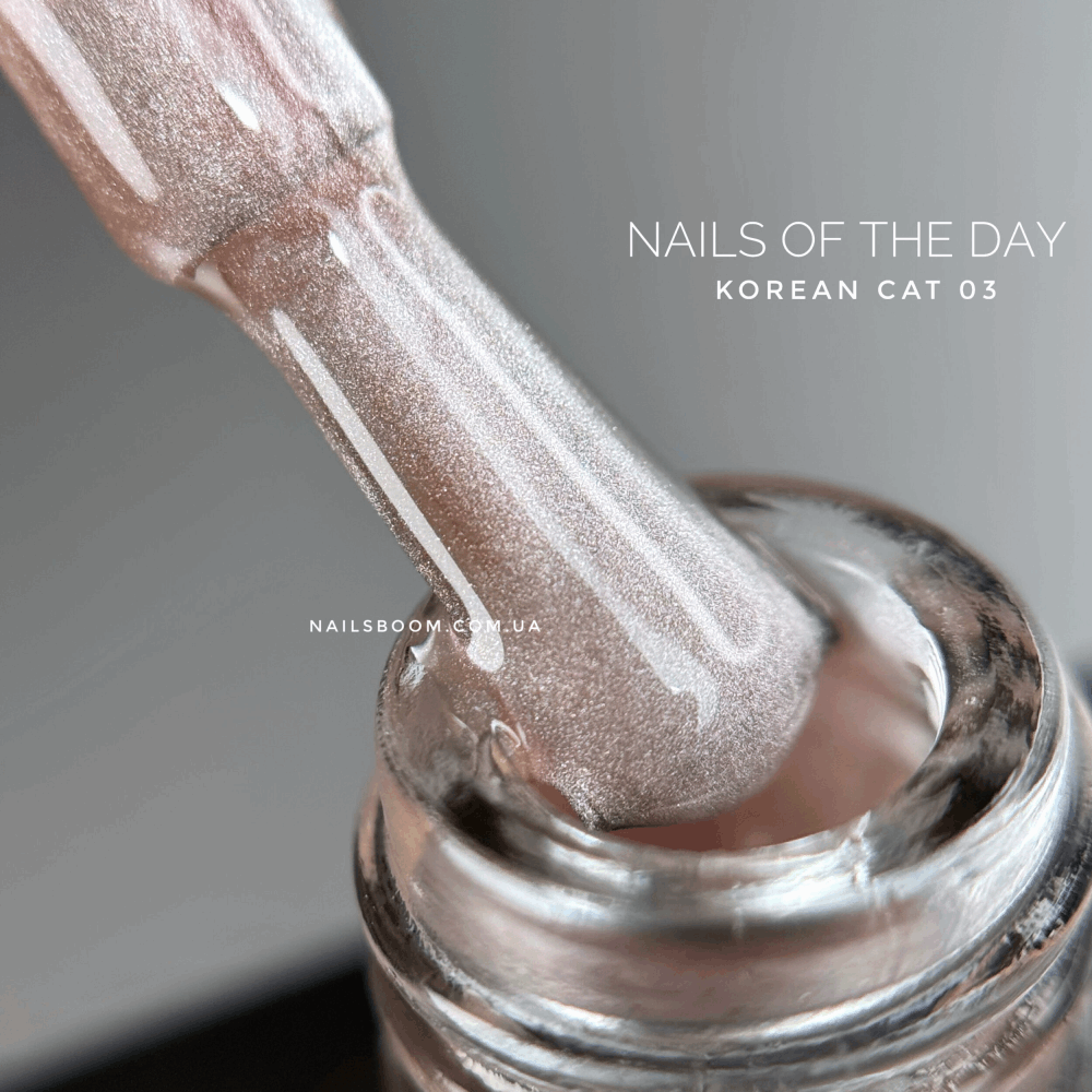 CAT EYE Gel Polish NAILS OF THE DAY Korean Cat 10ml 03