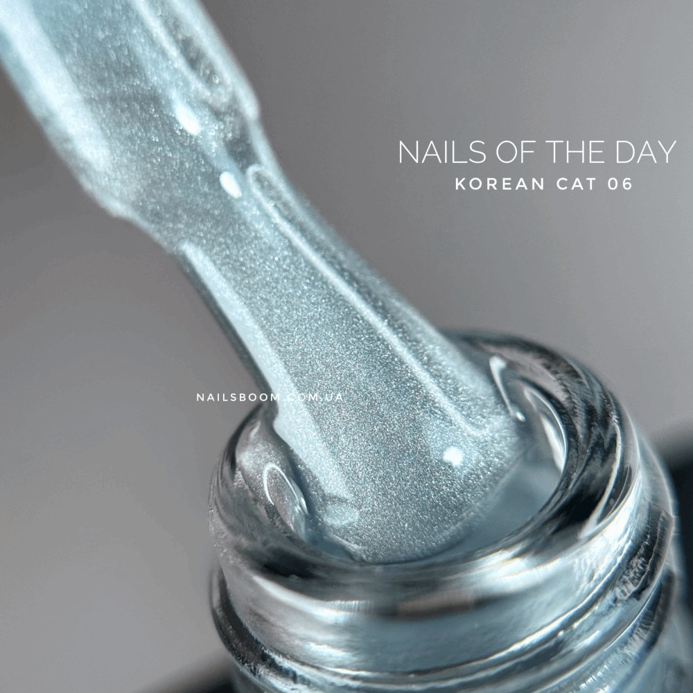 CAT EYE Gel Polish NAILS OF THE DAY Korean Cat 10ml 06